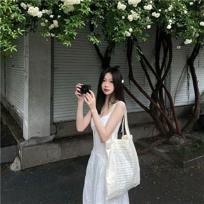 冒牌总统